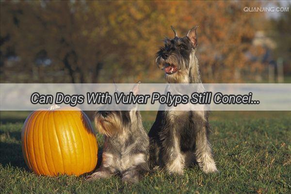 Can Dogs With Vulvar Polyps Still Conceive A Heartwarming Tale of Fertility and Hope